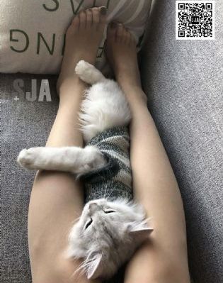 精品视频在线99-影音资源超清免费观看