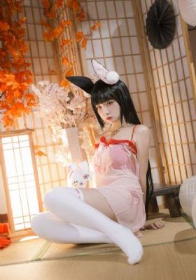 色秀视频在线观看精品88-理论片电影完整版